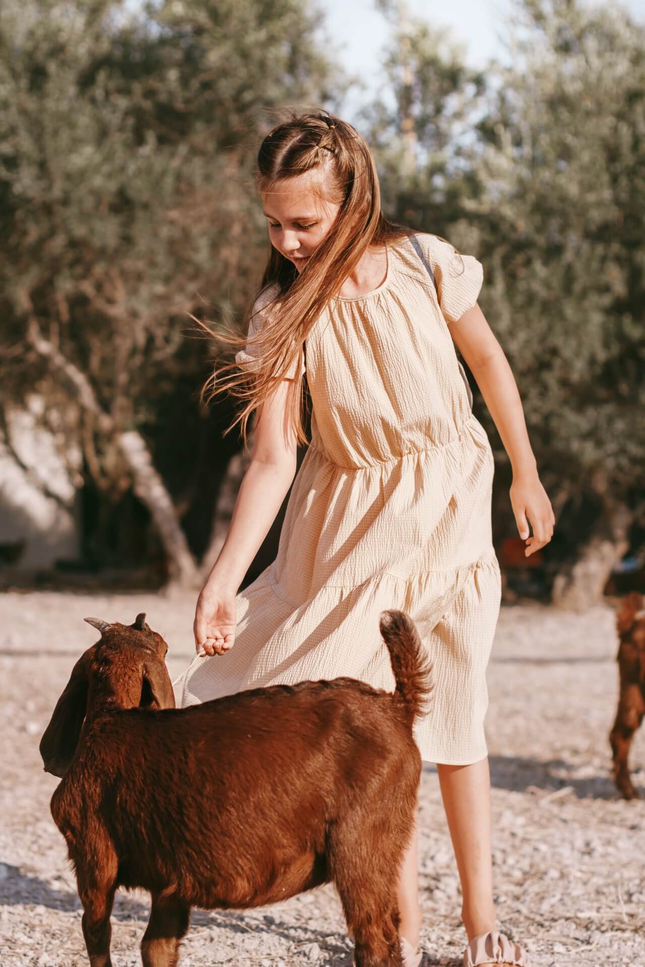 Agroturismo